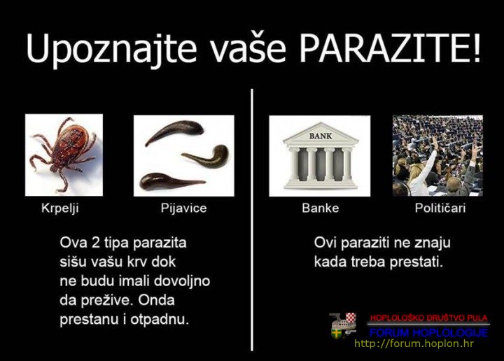 PARAZITI.jpg