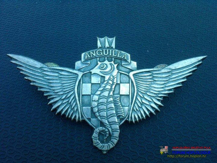 Anguila2.jpg