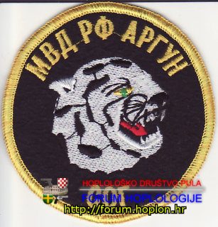 Rusija - SOG u Čečeniji - grad Argun.jpg