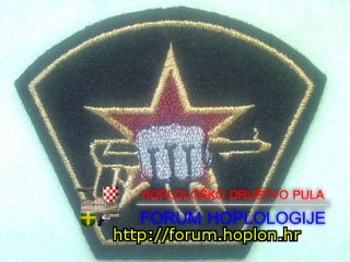 Rusija - specijalna jedinica - paradna oznaka.jpg