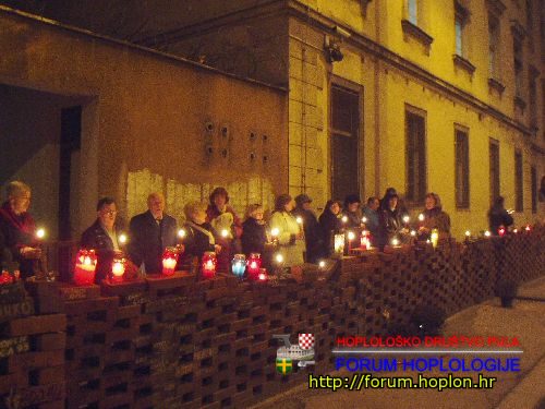 zidboli.jpg