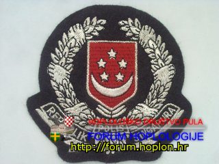 Singapur - Polis.jpg